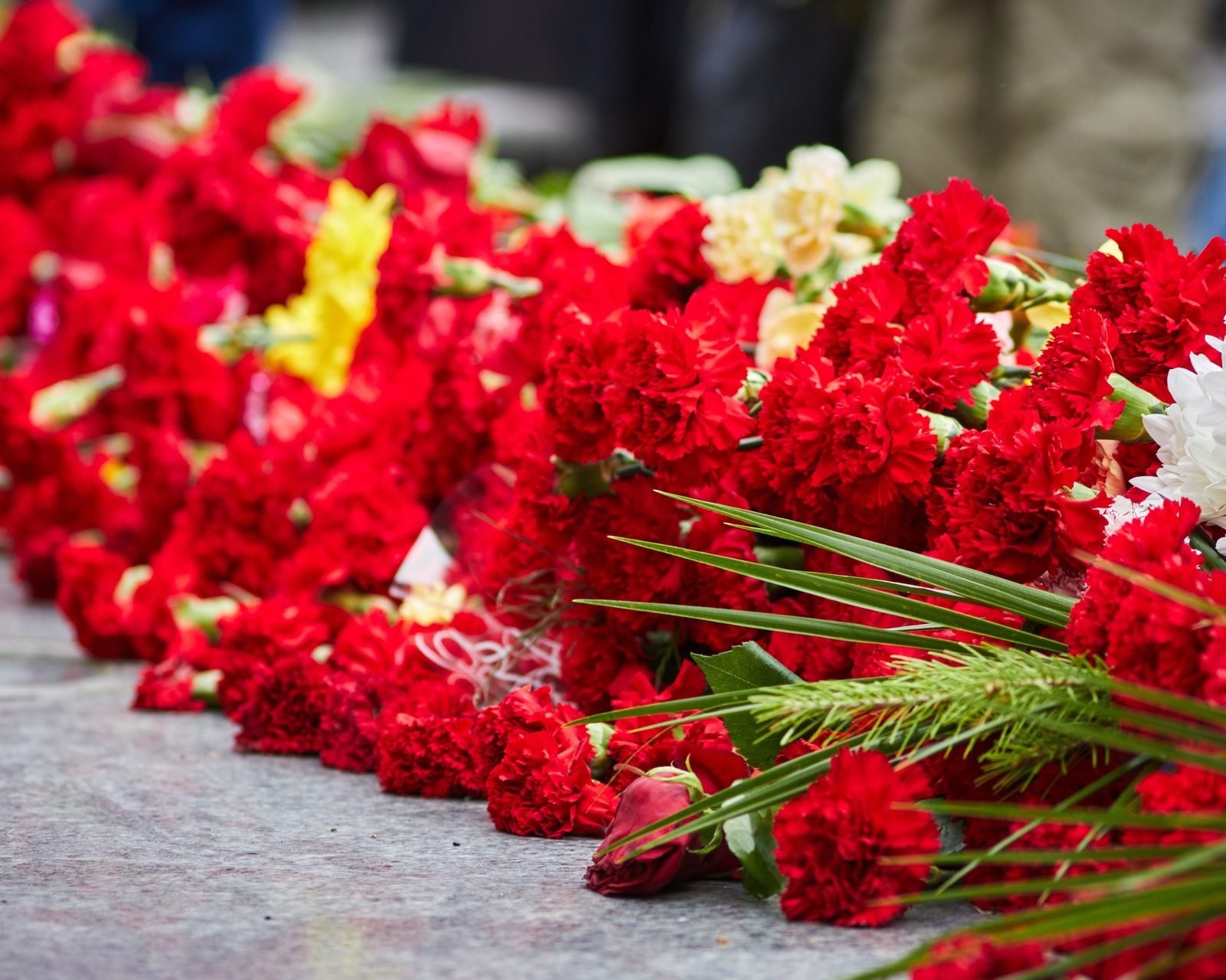 A long arrangement of red carnations.